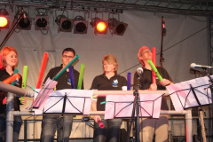 Boomwhackers (14)